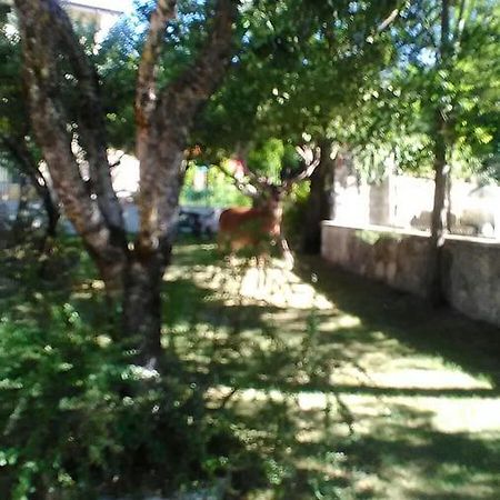 Appartamenti De Sanctis Виллетта-Барреа Экстерьер фото