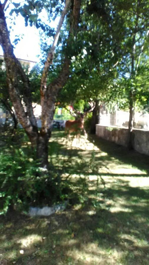 Appartamenti De Sanctis Виллетта-Барреа Экстерьер фото